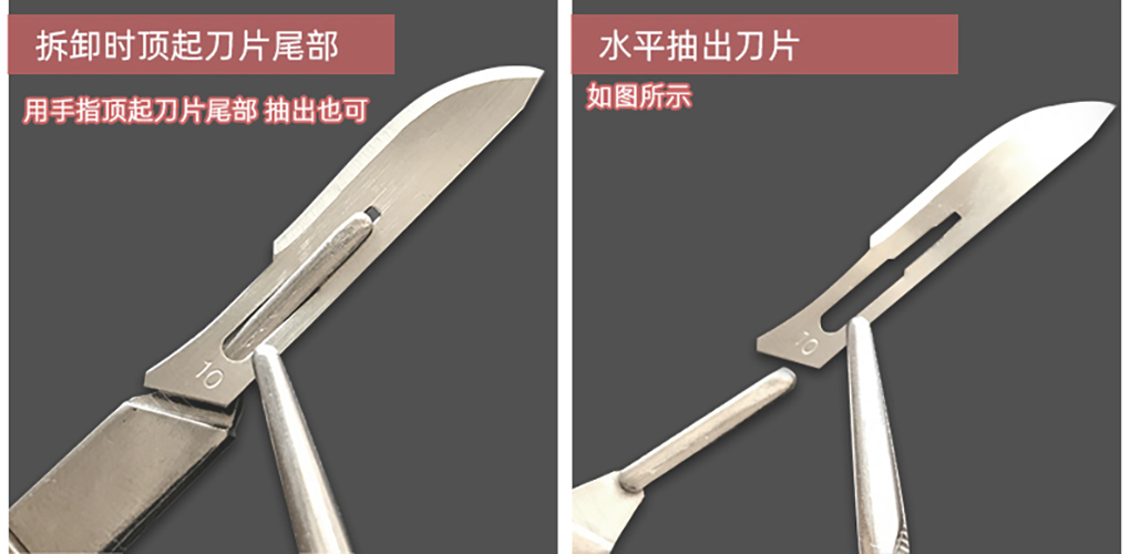 接種刀詳情頁(yè)_10.jpg