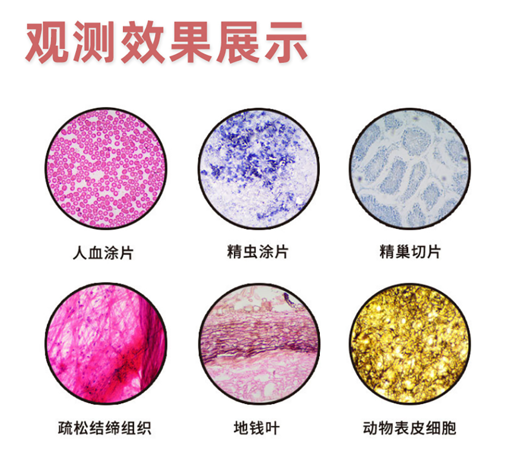 雙目顯微鏡詳情頁_04.jpg